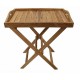 Садовый деревянный складной столик с лотком TGF-207